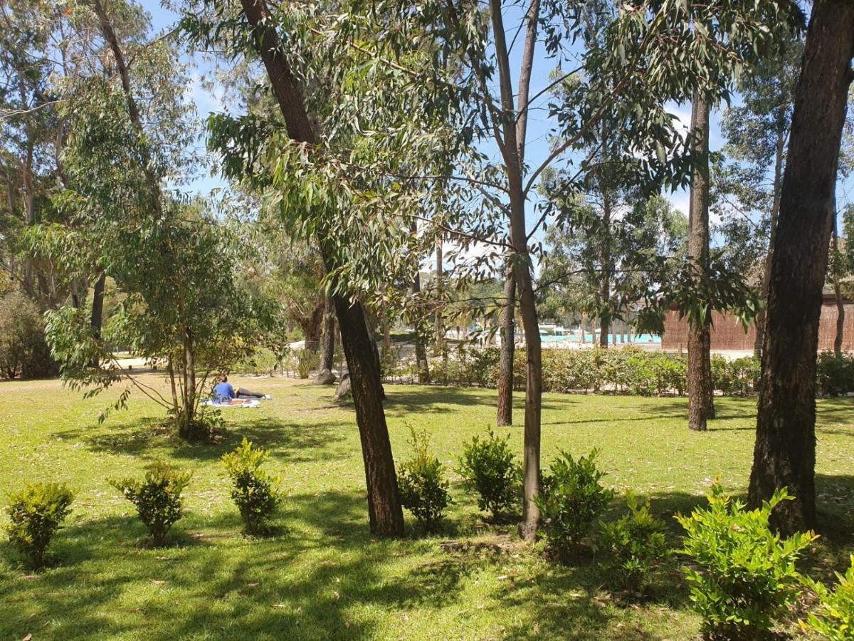 Punta Del Este, Forest Lagoon, Luxury Esterno foto